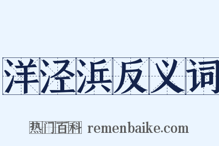 洋泾浜反义词是什么意思的图片